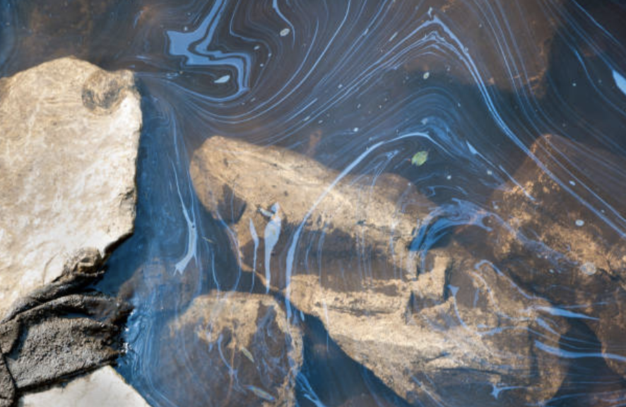 KNOCK KNOCK, VAPOUR INTRUSION